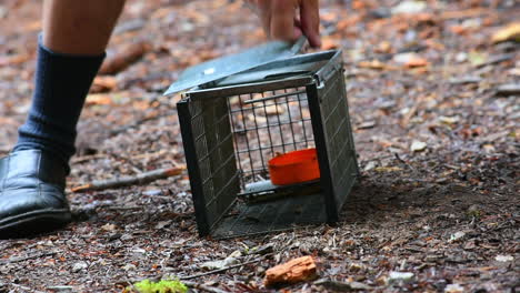 close up of squirrel released from trap