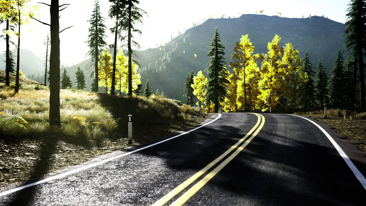 Winding road through vibrant forest in autumn at golden hour sunlight