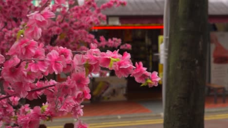 cherry-blossom-flowers-in-Singapore-marina-bay-sands