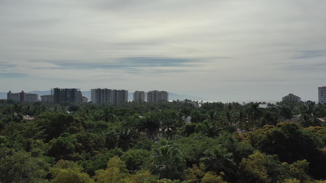 Aerial View of Puerto Vallarta With Tropical Trees and Buildings in Background Overlooking Ocean Descending into Trees