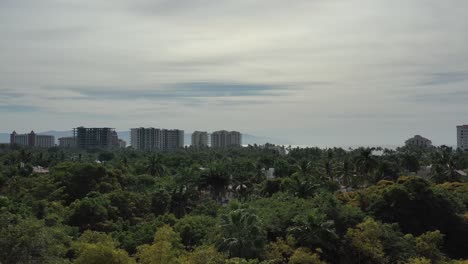 aerial view of puerto vallarta with tropical trees and buildings in background overlooking ocean descending into trees