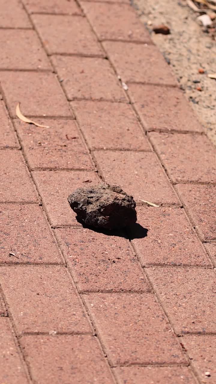 una roca cae a lo largo de una pasarela pavimentada