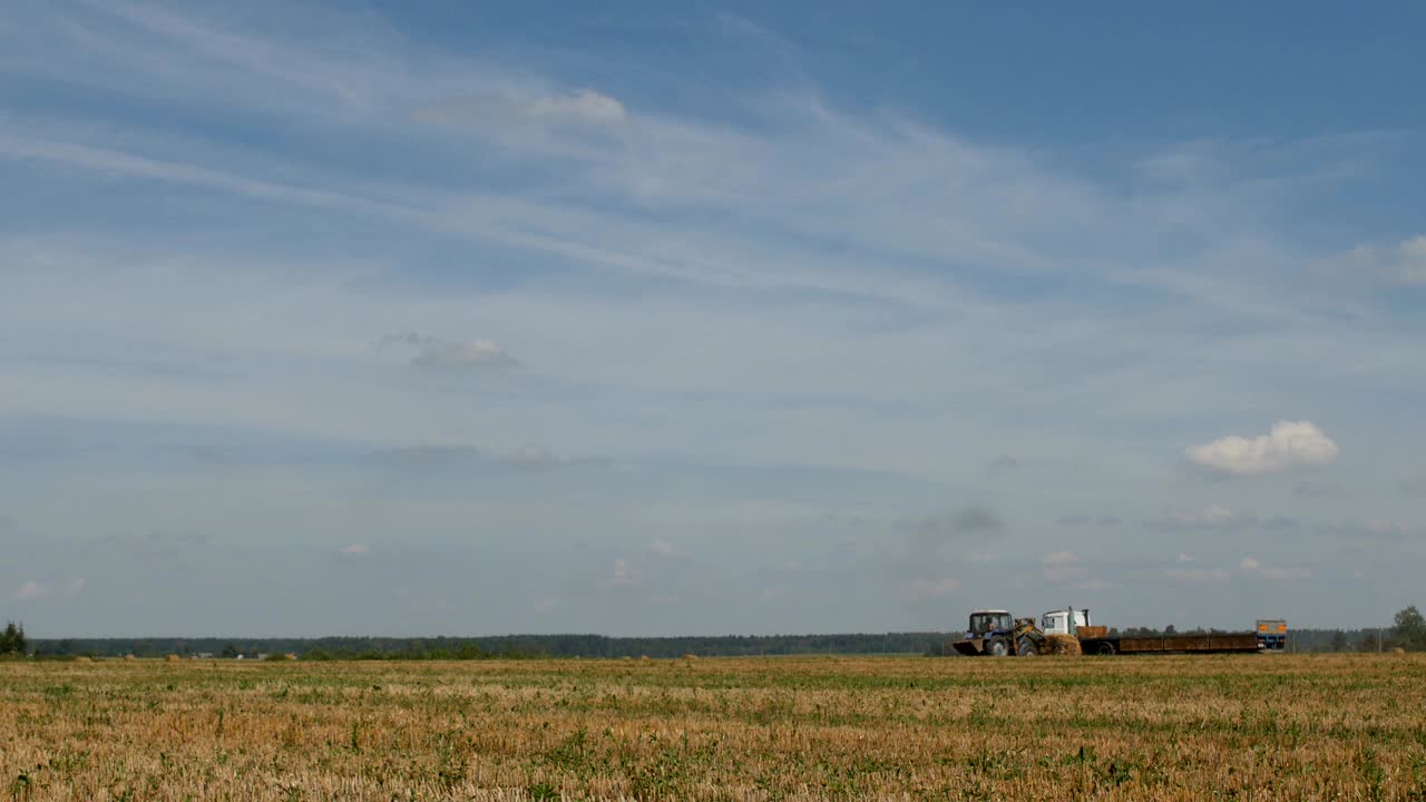 сельское хозяйство, трактор собирает урожай на сельскохозяйственном поле недалеко от ранчо