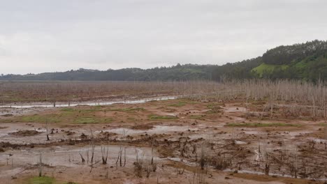 Wetlands-of-mud-and-grass