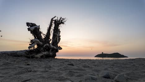 timelapse of a serene beach in pula, cagliari at sunrise, with driftwood in the foreground, birds flying across the sky, and an island with a tower silhouetted on the horizon