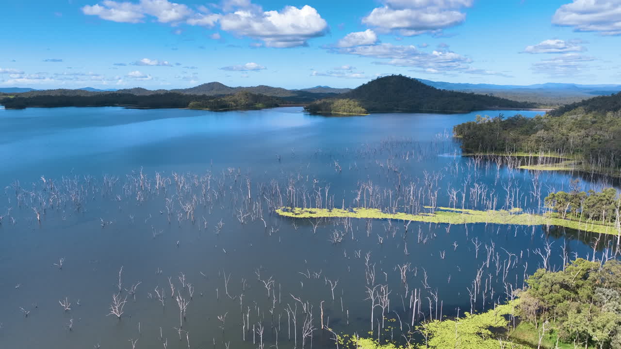 Flight ascends above eerie white tree trunks, now flooded by the vast Queensland Lake Teemburra reservoir for irrigation. Vast blue lake is surrounded by rich forest covered hills and hinterlands