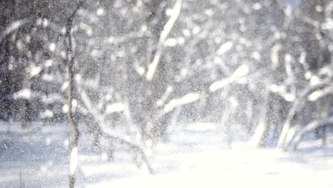 winter landscape during snowfall. winter christmas abstract background on super slow motion.