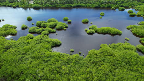 Lake-in-a-hidden-caribbean-island-with-trees-surrounded-by-water,-stunning-horizon-reveal