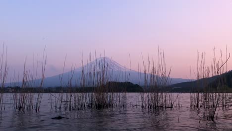 el lago y el monte fuji al anochecer