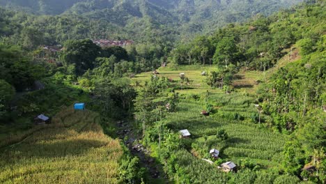 Drone-flying-in-a-mountain-valley-over-corn-field-terraces-panning-up-revealing-a-small-village-and-mountains-in-the-background