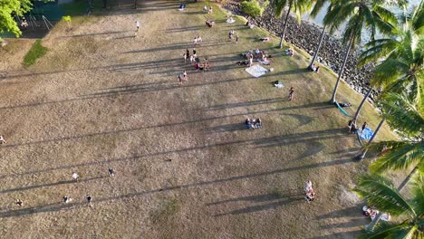 drone footage captures groups of people enjoying a grassy park lined with palm trees beside the coastline in late afternoon sunlight