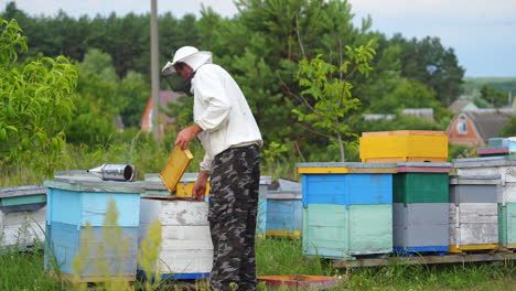 beekeeper putting new frames into hives. male apiculturist working near wooden beehives in the countryside in a bright summer day.