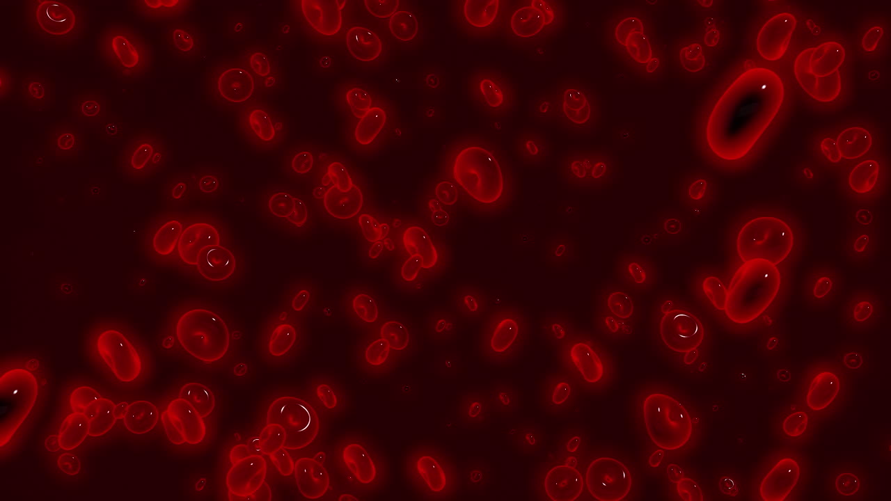 las células rojas de la sangre