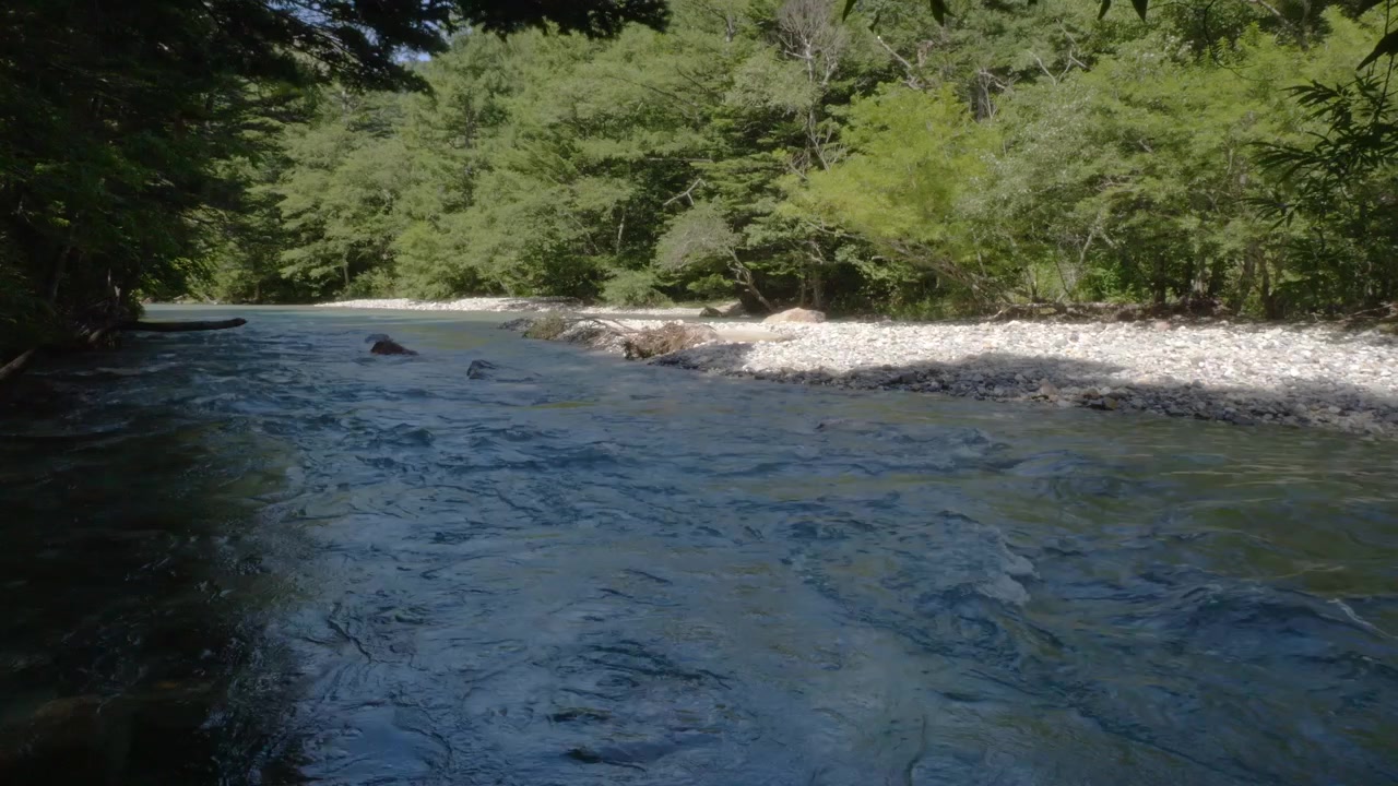 Il fiume Azusa scorre oltre rive ghiaiose e fitte foreste verdi a Kamikochi, Parco Nazionale Chubu-Sangaku, Matsumoto, Giappone. Ripresa statica.