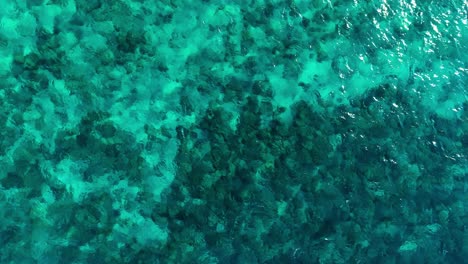 Clear-ocean-water-texture-above-coral-reef-heads,-high-angle-panoramic-aerial-static