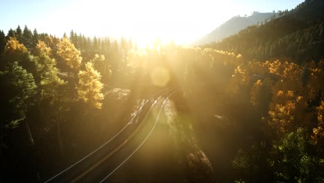 vuelo aéreo con drones sobre un bosque de pinos en la montaña al atardecer