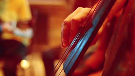 close up of playing double bass on concert