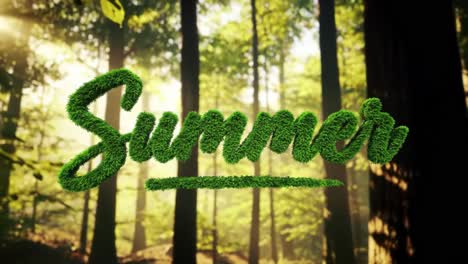 immerse yourself in the vibrant atmosphere of summer as sunlight filters through the trees in a green forest. enjoy the serene and peaceful nature surrounding you.