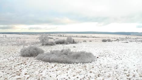 magical winter moorland in ascending drone shot