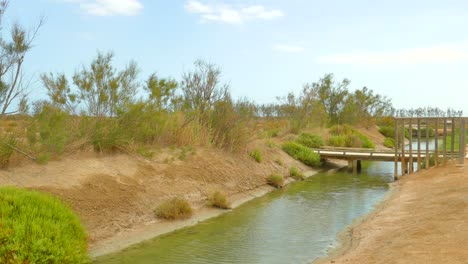 Malerische-Landschaft-Des-Naturschutzgebiets-Ebro-Delta-In-Katalonien,-Spanien