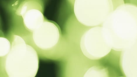 video of flickering white and green bokeh spots of light with copy space