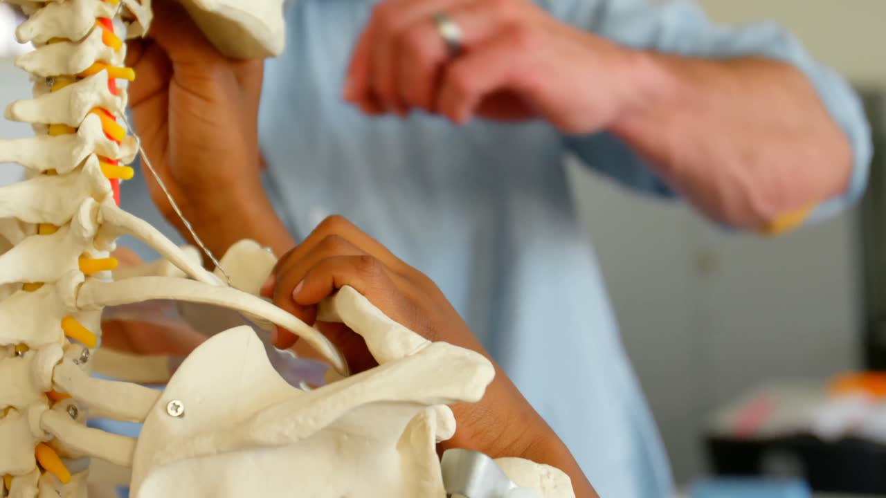 maestro caucásico que fija un modelo de esqueleto humano en el aula de la escuela 4k