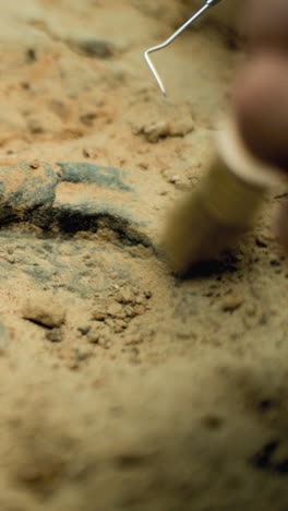 fossil excavation