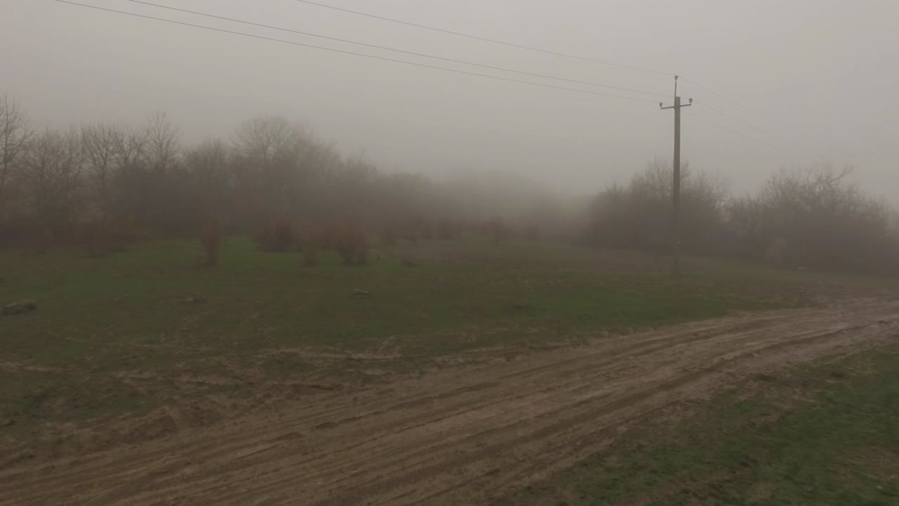 camino de campo lleno de niebla