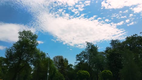 morning blue sky with clouds in the park