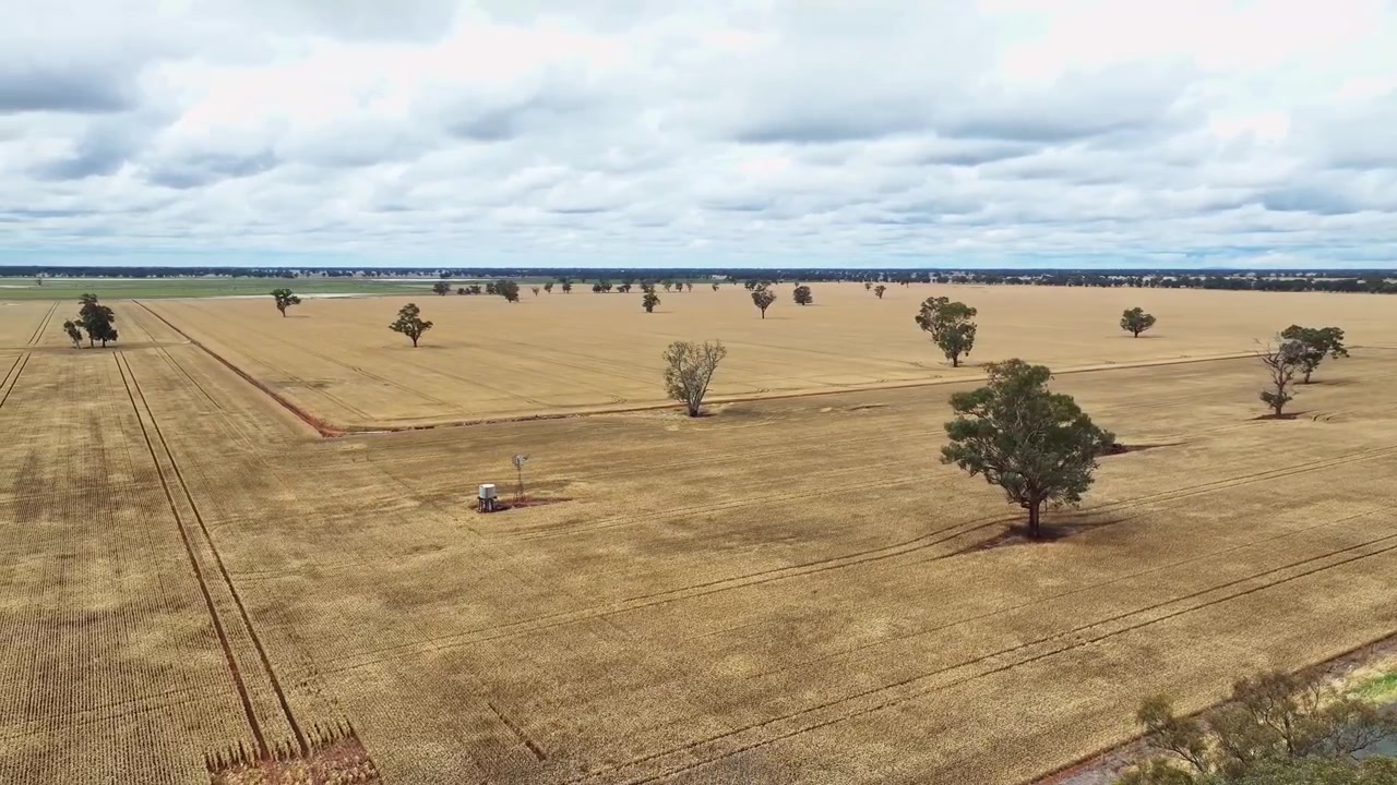 Old windmill and water tank in a wheat paddock near Savernake NSW Australia