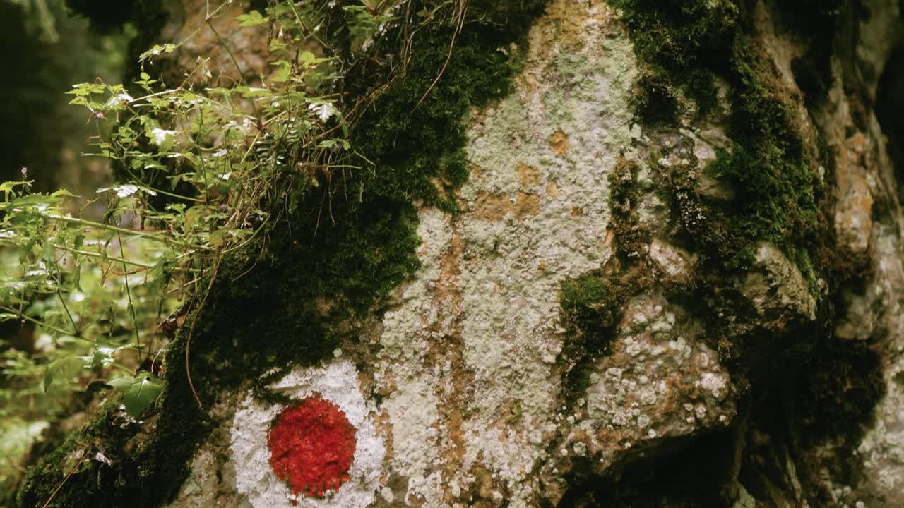 돌에 그려진 빨간 점 하이킹 경로 표지판을 보여주는 틸트 업