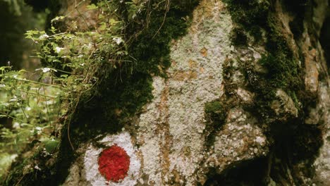 Inclinación-Hacia-Arriba-Que-Muestra-Un-Signo-De-Ruta-De-Senderismo-De-Punto-Rojo-Pintado-En-Piedra