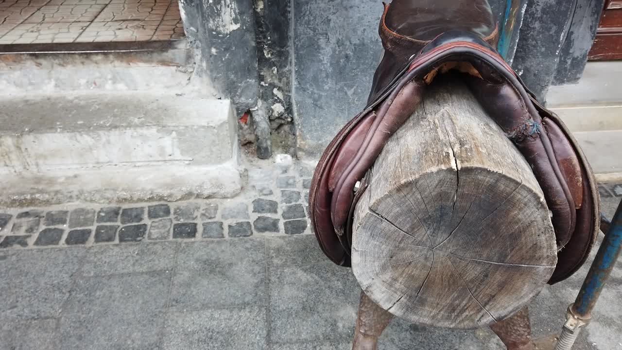 At eyeri. Hareket halinde çekim