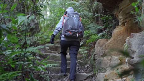 Mujer-Indígena-Subiendo-Escaleras-Mientras-Viajaba-De-Mochilero-Por-La-Selva-Australiana