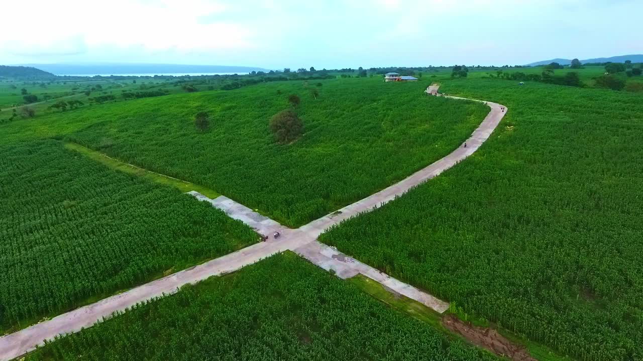 옥수수  사모타 인도네시아