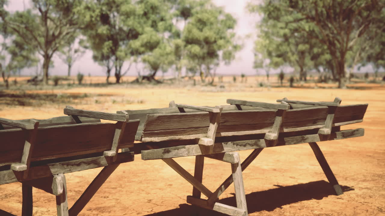 Rustic wooden benches under the sun in an arid landscape with sparse trees