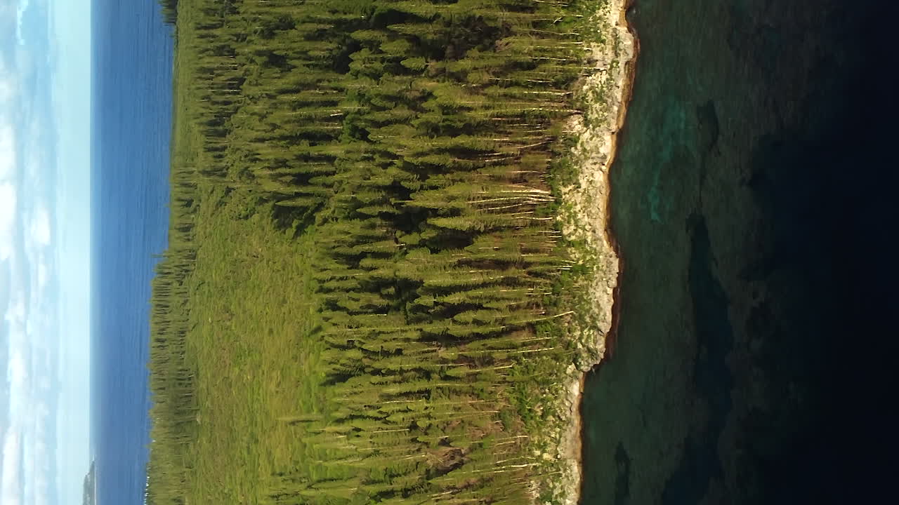 Vertical aerial view of Wabao Cape shoreline at golden hour, Columnar pines and reef, Mar&eacute; Island