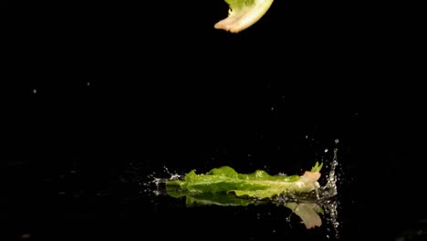 cabbage leaves falling on water