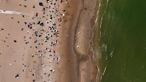 beachgoers under beach umbrellas and swimming, scheveningen