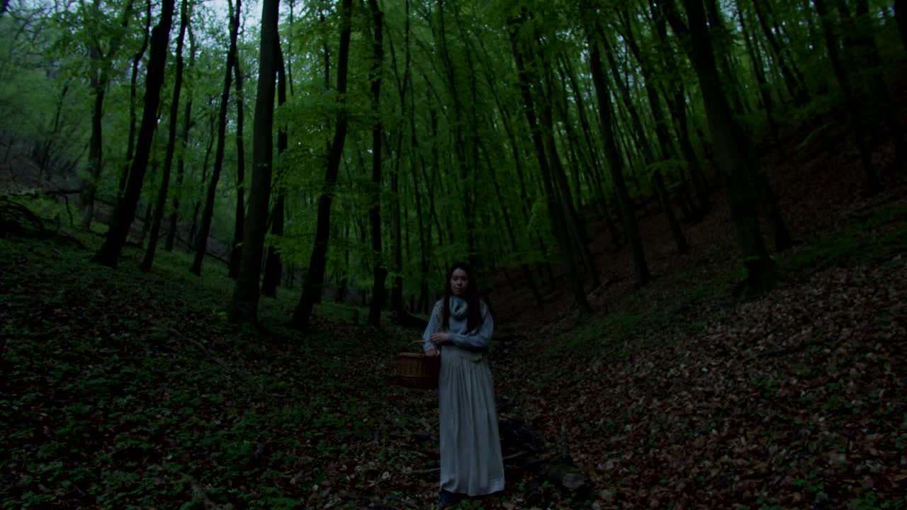 Woman with Basket in the Forest