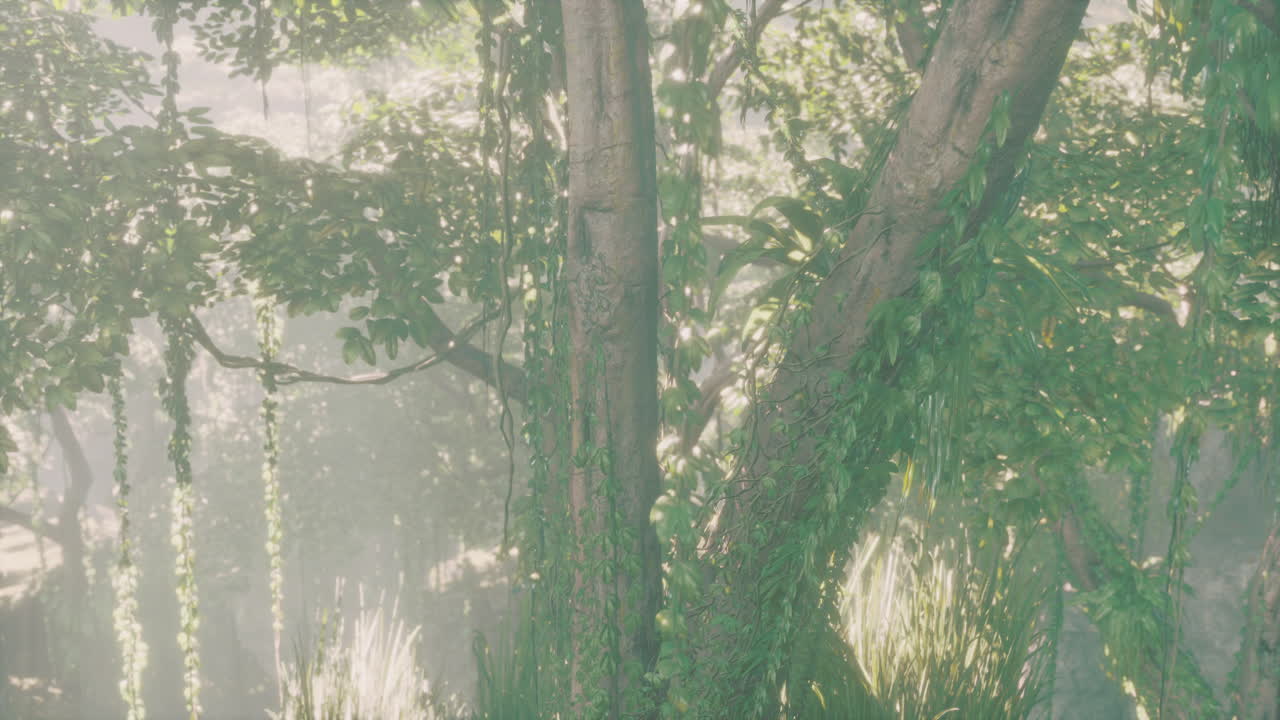 8 월 에 동남아시아 의 열대 정글