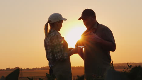 Bauern,-Mann-Und-Frau-Kommunizieren-Bei-Sonnenuntergang-Auf-Dem-Feld-Mit-Einem-Tablet