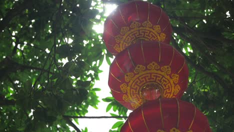 standing under a chinese lantern hanging from a tree.