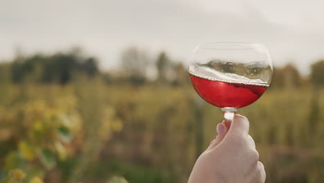 a woman's hand with a glass of red wine. against the background of the vineyard, preparing for tasting