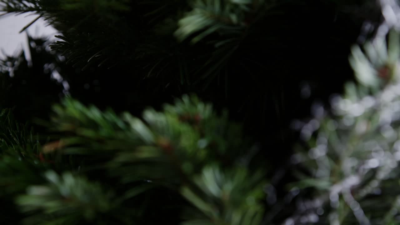 Close-up of Caucasian hands cutting the net with a cutter knife as the Christmas tree branches slowly spread open. Tactile, traditional moment of preparation and release