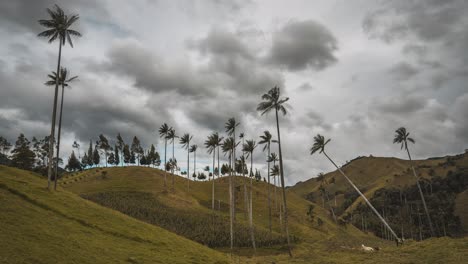 Timelapse-Del-Famoso-Valle-De-Cocora,-San-Felix-Durante-El-Día-Nublado