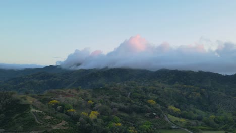 Hyperlapse-Von-Gallinazo-Bäumen-Und-Regenwald-Mit-Niedriger-Wolke,-Drohne-Costa-Rica