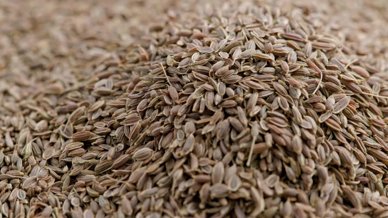 dry dill seeds pile, slow rotating looped background