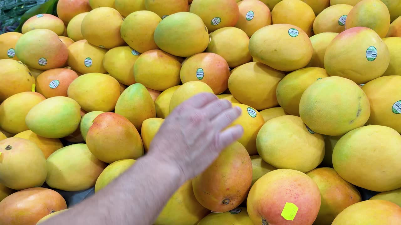 Una mano raccoglie ed esamina diversi mango maturi da un grande banco del mercato