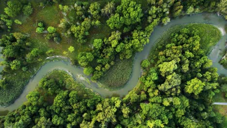 Vista-Aérea-Del-Paisaje-Escénico-Con-Serpenteantes-Vías-Fluviales-Curvas-Exuberante-Bosque-Verde-En-El-Parque-Rouge